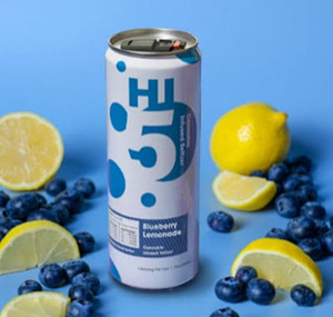 High Five Seltzer 5mg (1:1) - Blueberry & Pineapple