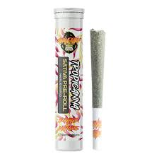 Jungle Juice 1G Pre Roll Sativa - Tropicanna